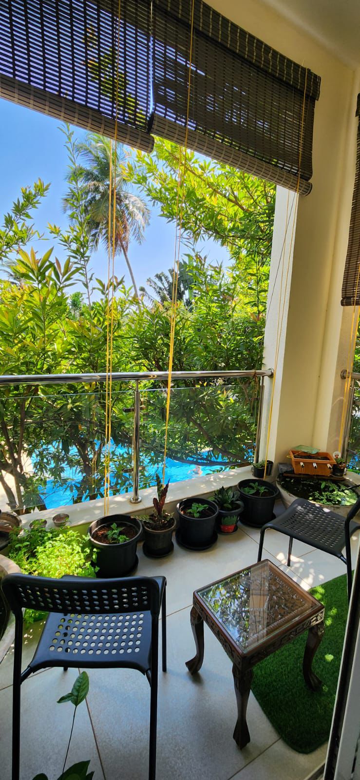 Balcony Greenery